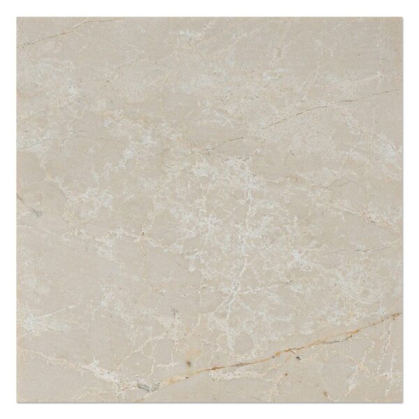 A close up of a bottoccino honed marble tile.